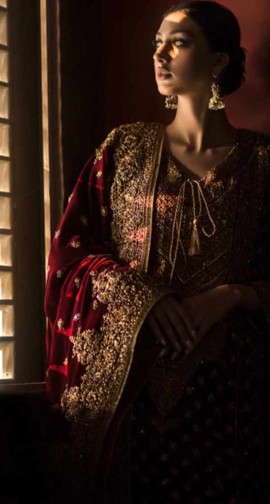 Red bridal lehenga with gold embroidery and velvet dupatta inspiration.